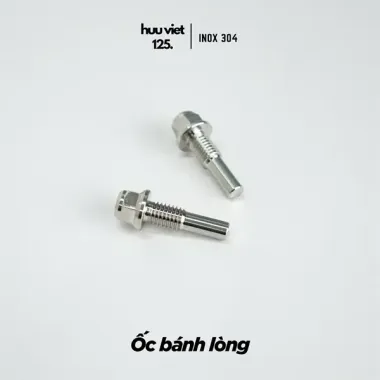 Ốc bánh lòng
